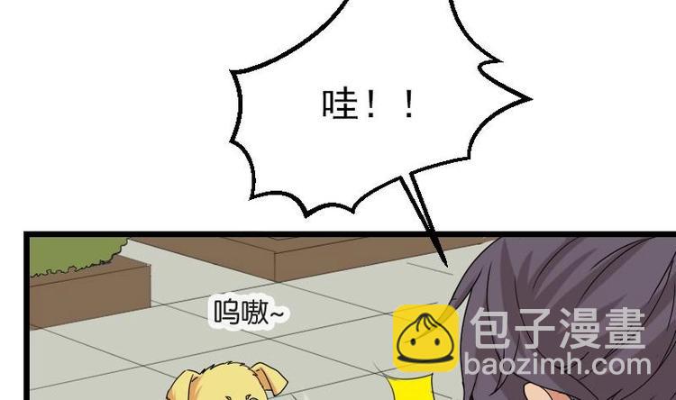 🍼都市神豪系统 第15话 碰瓷 第11页