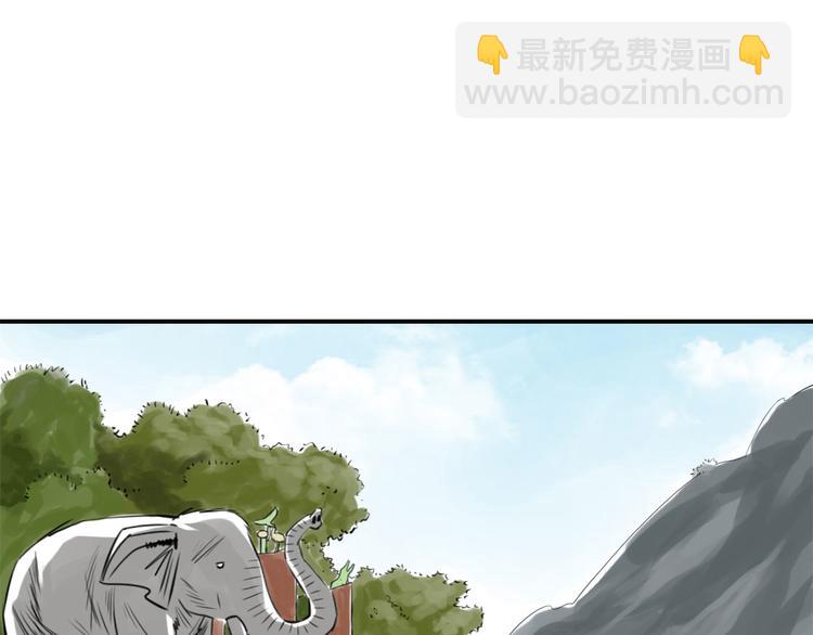 🍼都市兽种 第11话 消失的动物（二） 第17页