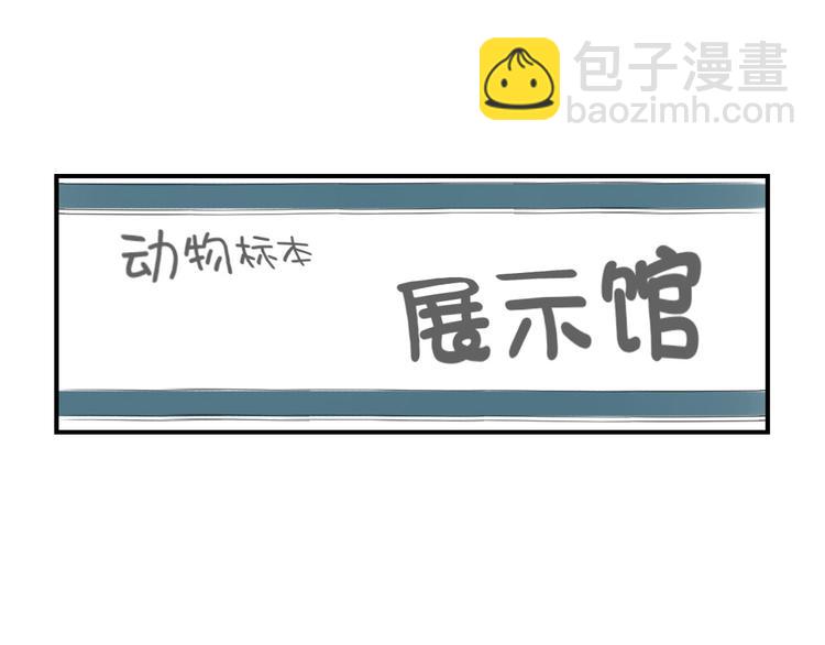 🍼都市兽种 第11话 消失的动物（二） 第30页