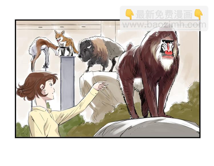 🍼都市兽种 第11话 消失的动物（二） 第49页