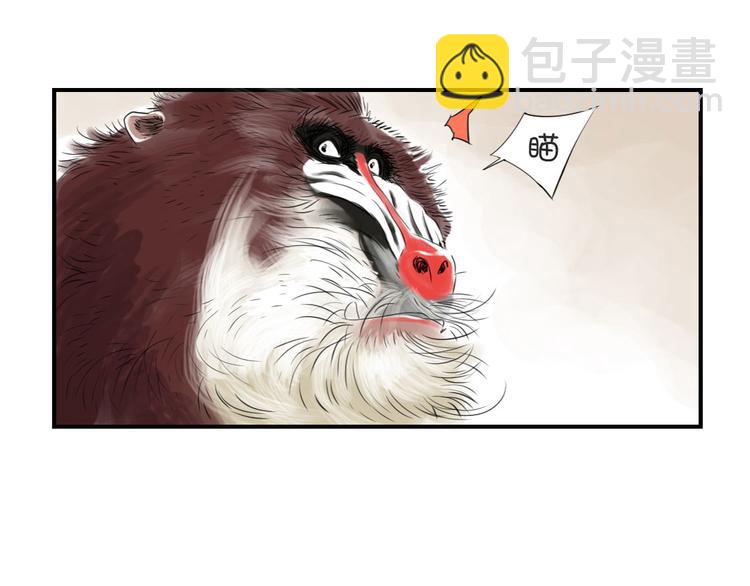 🍼都市兽种 第11话 消失的动物（二） 第50页