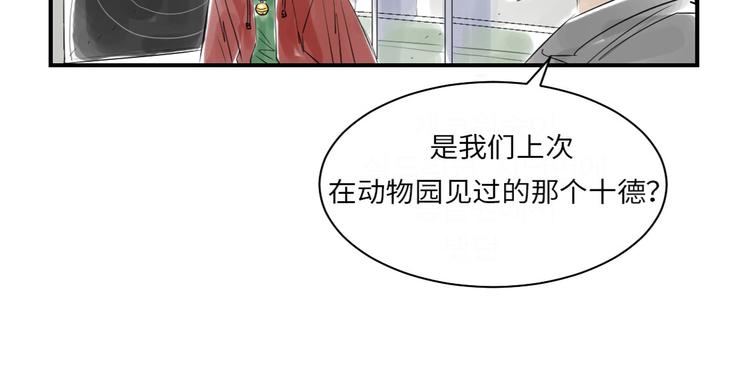 🍼都市兽种 第17话 陷阱（二） 第31页