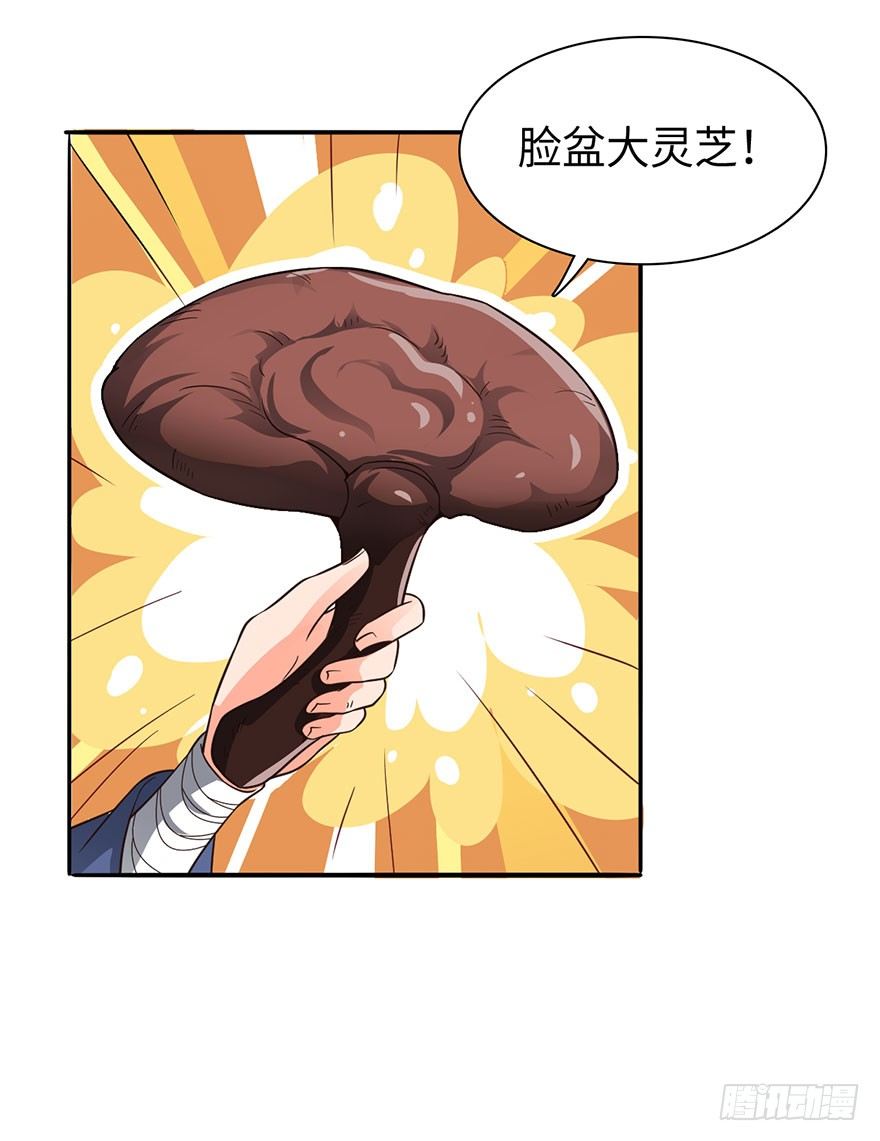 🍼都市至尊天师 绝世仙丹 第5页