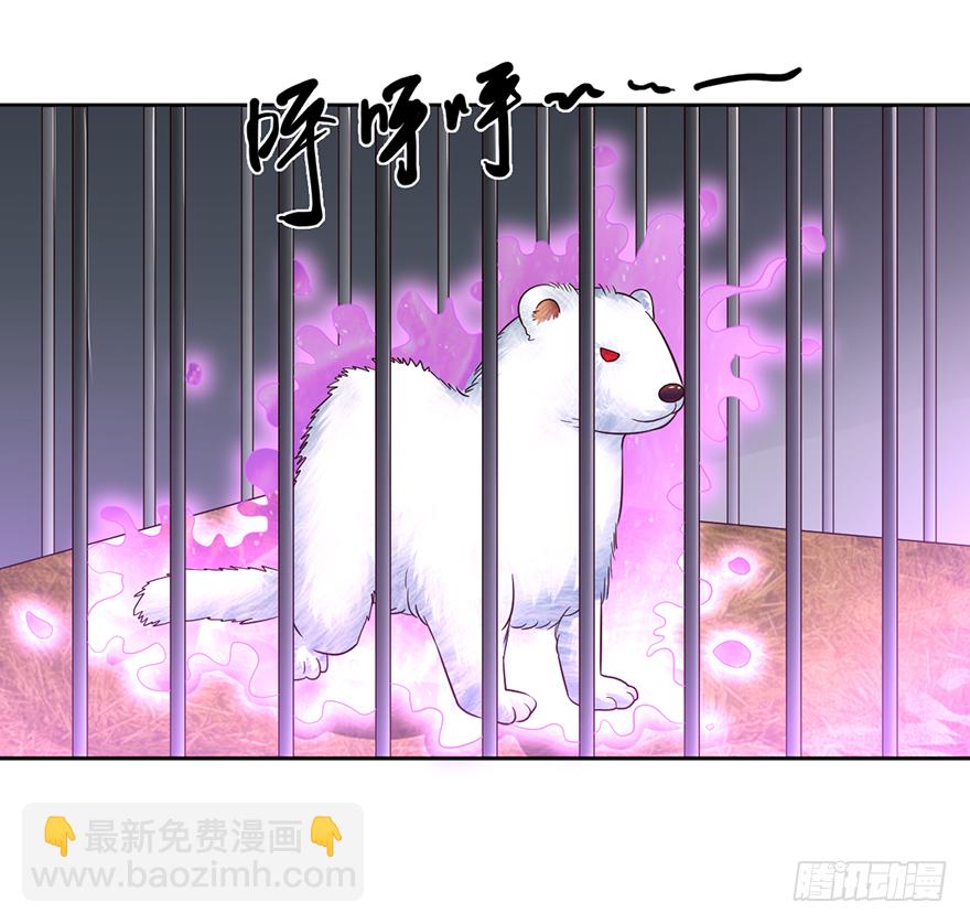 🍼都市至尊天师 以身相许 第4页