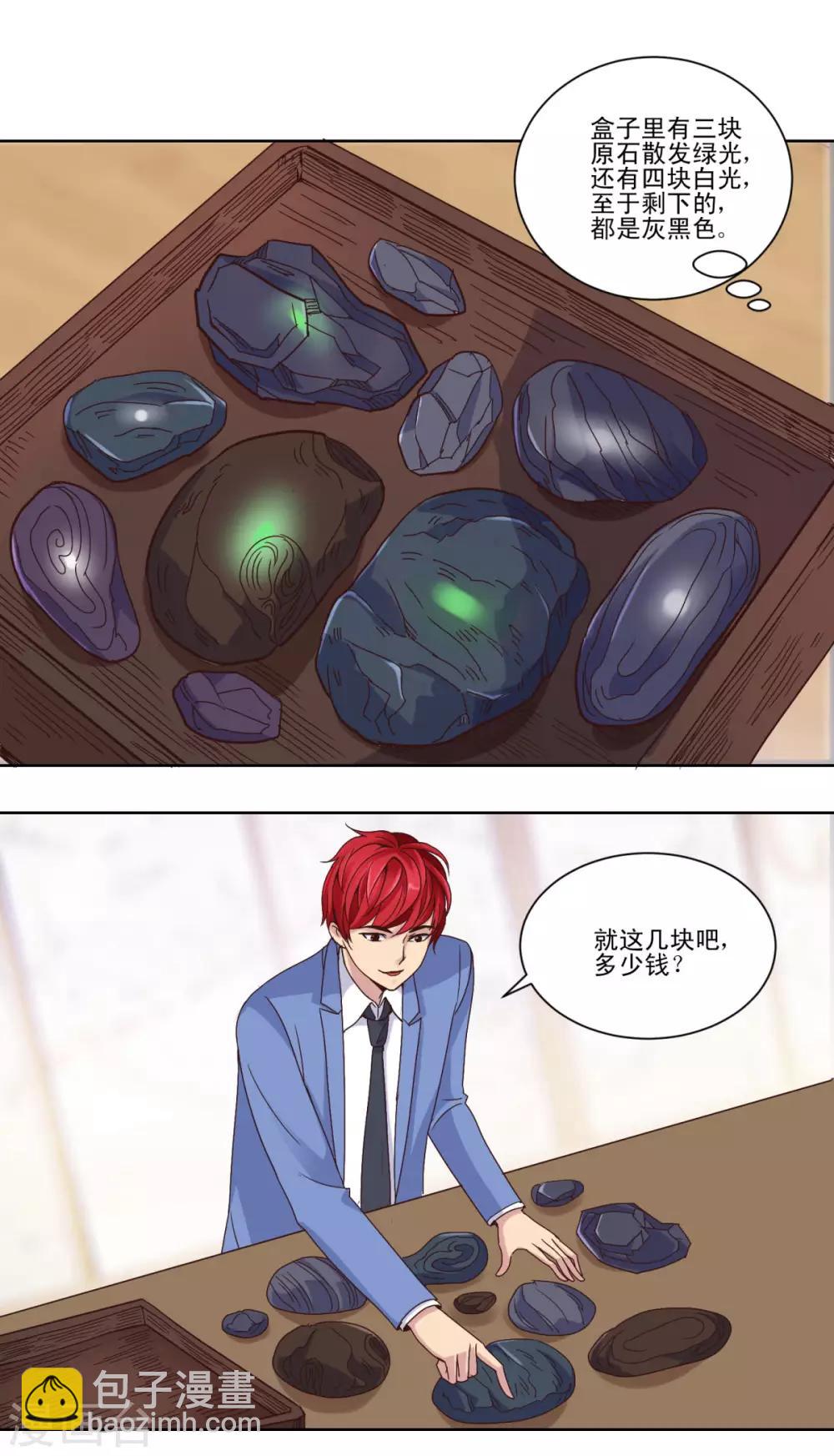 🍼都市至尊系统 第35话 赌石 第8页