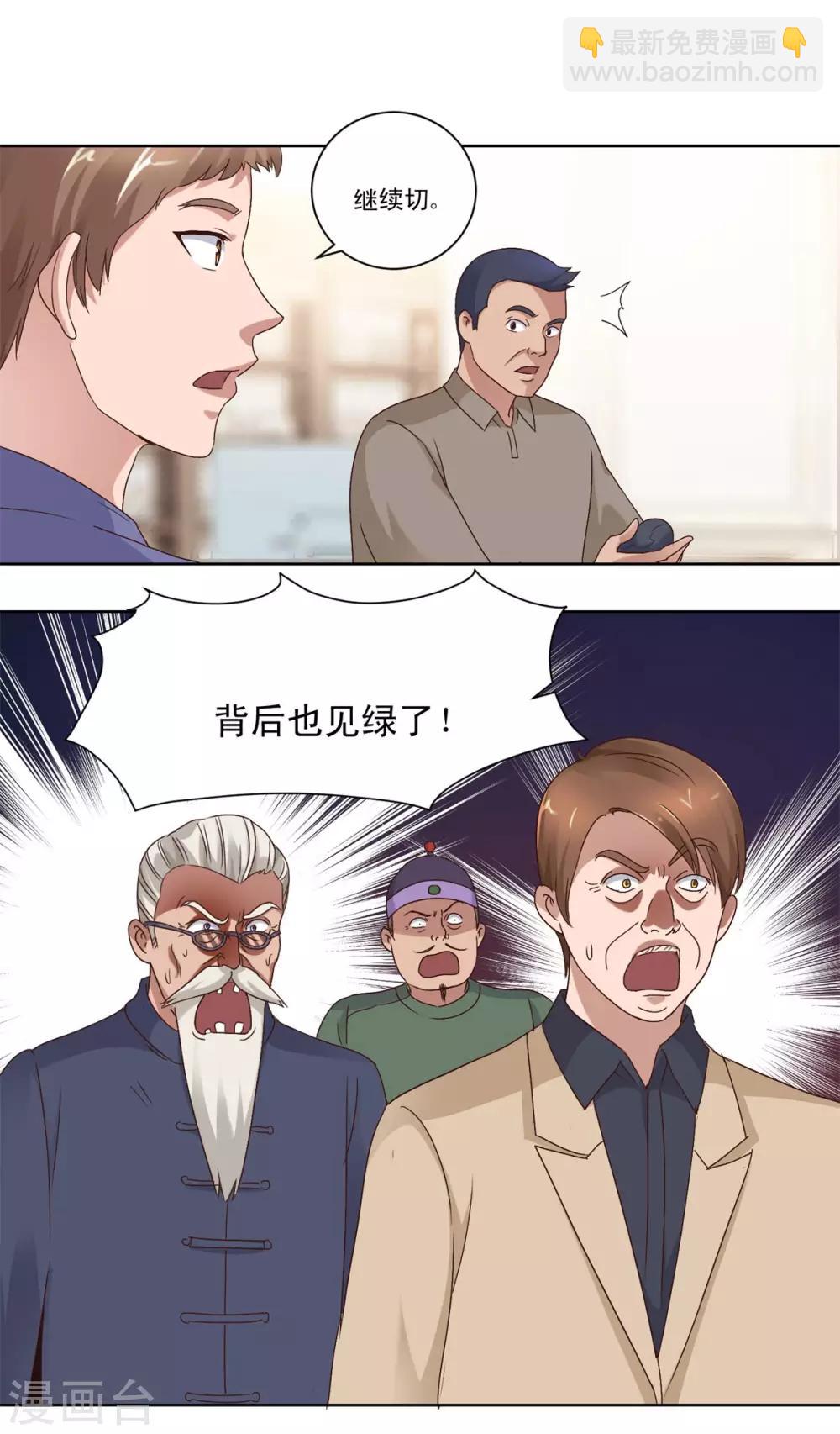 🍼都市至尊系统 第75话 冰种vs冰种 第12页