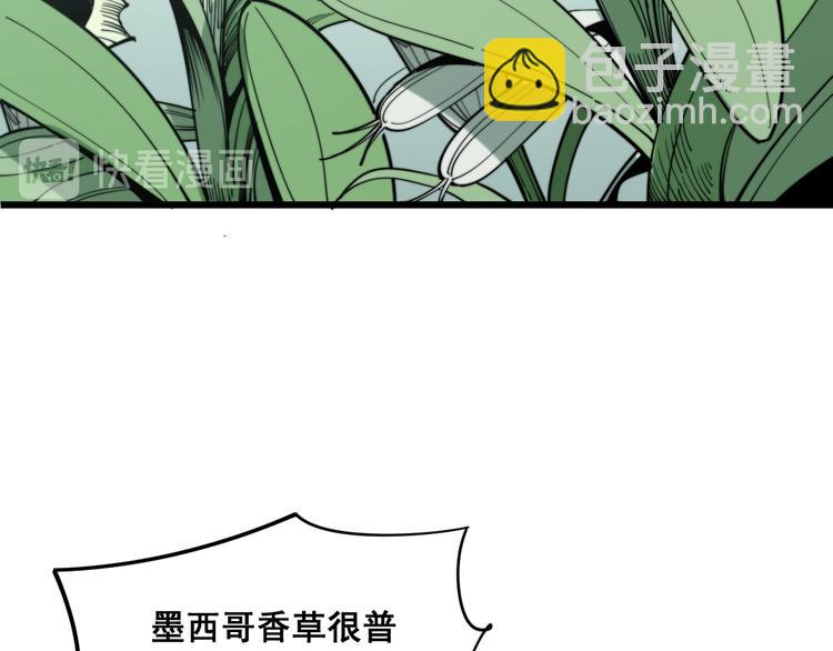 第154话 神秘香草(1/4)-第155话