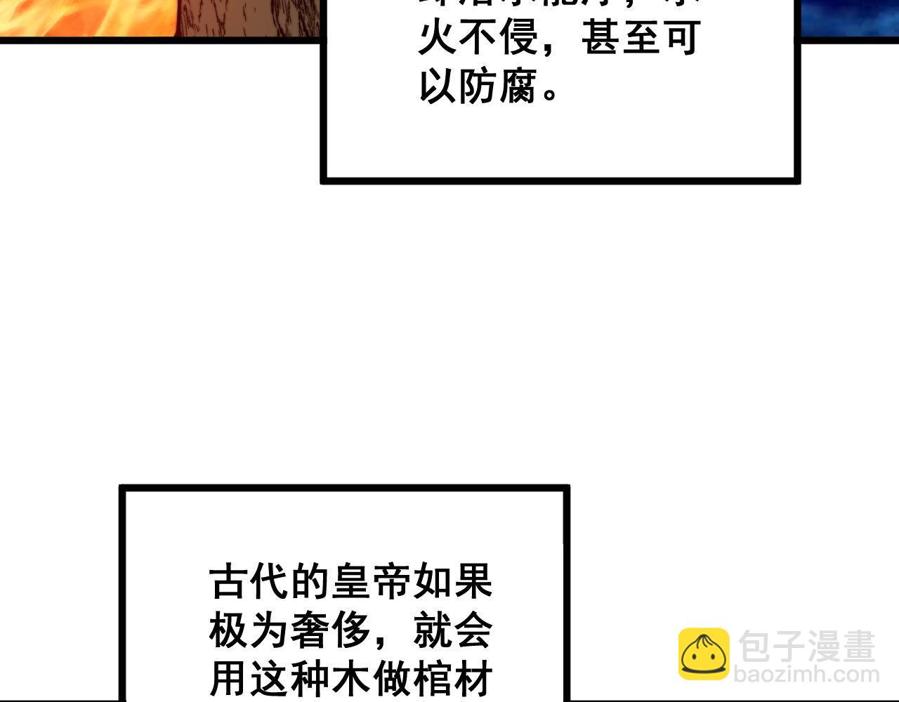 第300话 神木(1/3)-第301话