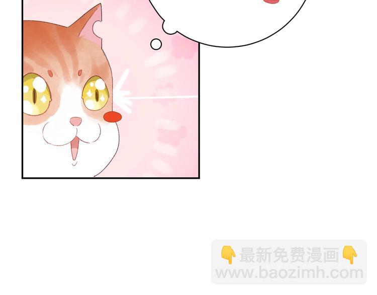 第8话  不要爱上我(1/5)-第9话