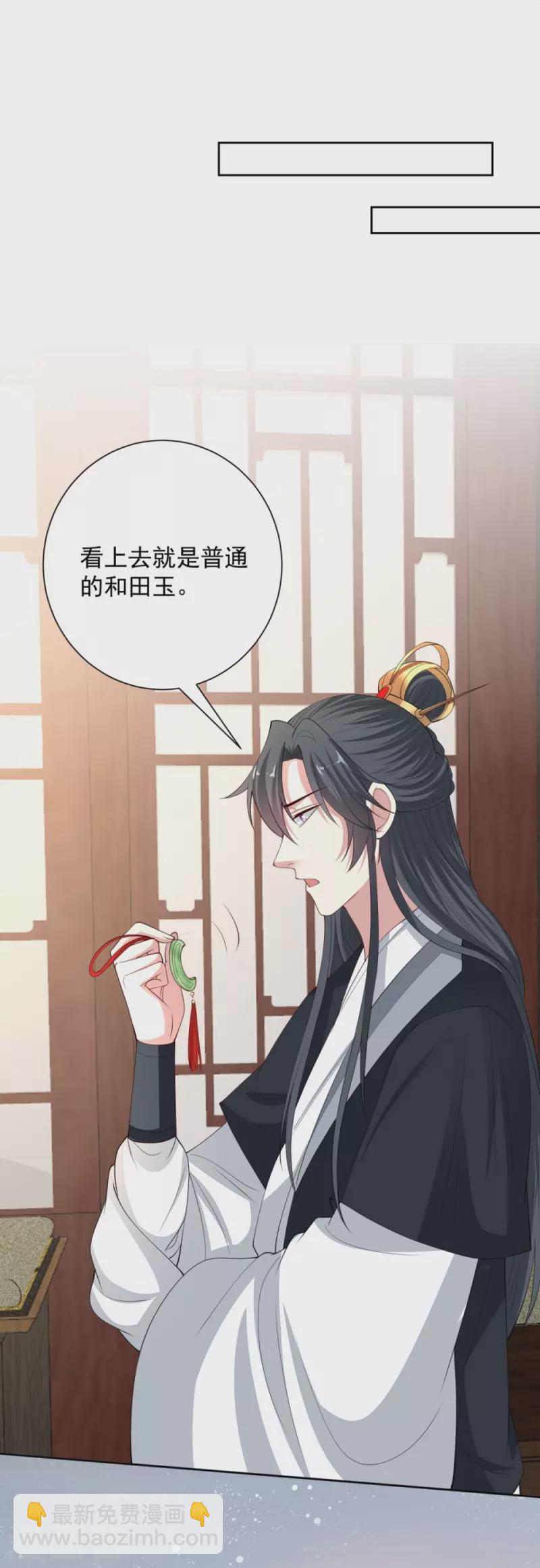 🍼毒医嫡女 第338话 丢失的“玉佩” 第29页