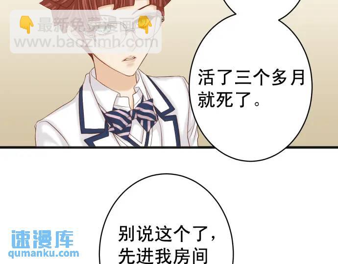 🍺恶果要冷冷端上 第346话 探寻 第26页