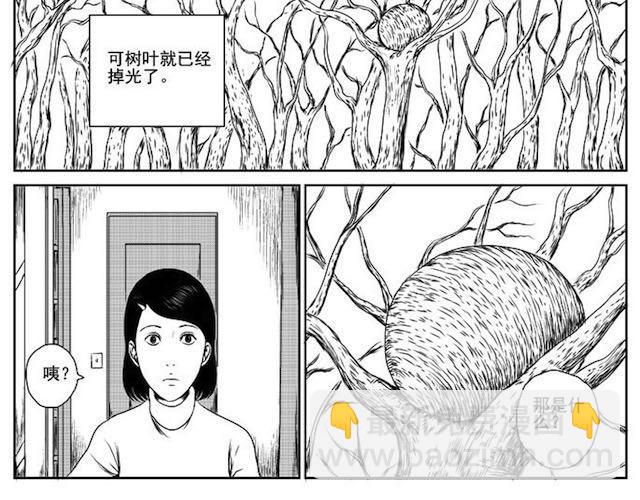 巢(1/2)-第1话
