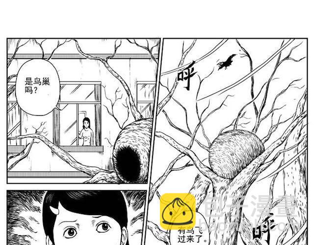 巢(1/2)-第1话