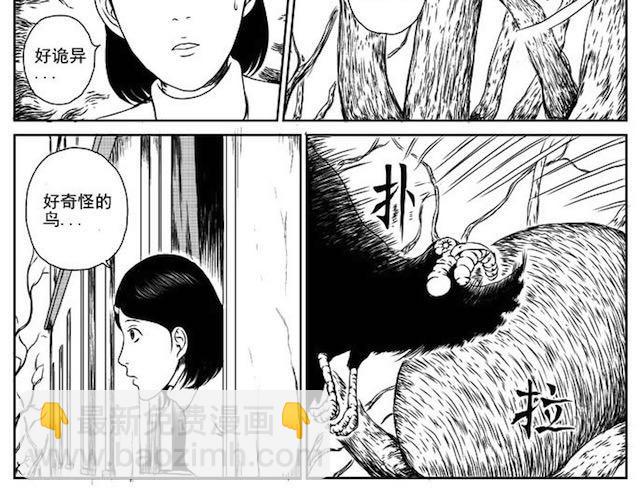 巢(1/2)-第1话