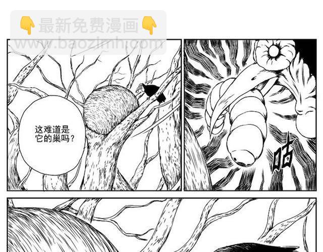 巢(1/2)-第1话