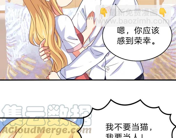 第52话 你是我的宠物猫(1/2)-第53话