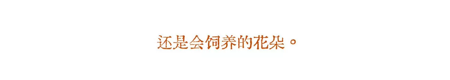 第71话 我会一直陪着你(1/4)-第71话