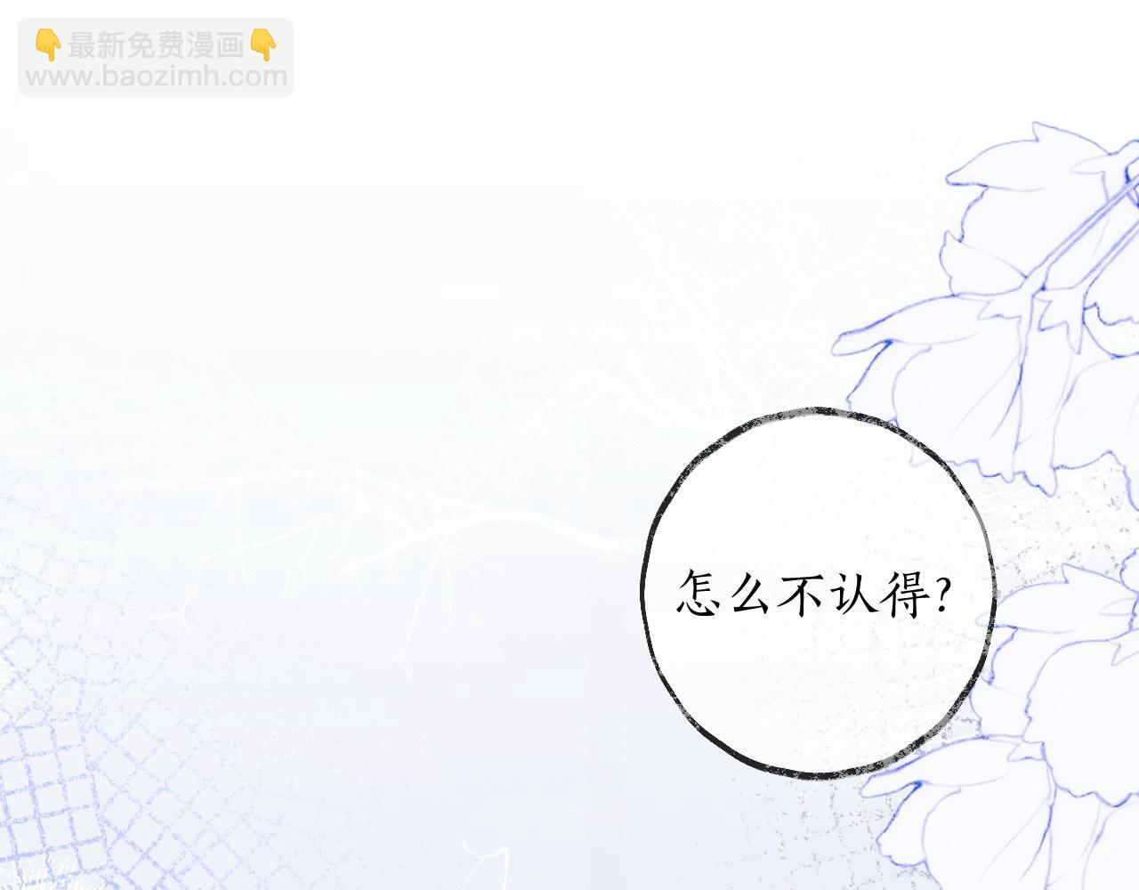 🍺二哈和他的白猫师尊 第50话 巡游 第13页