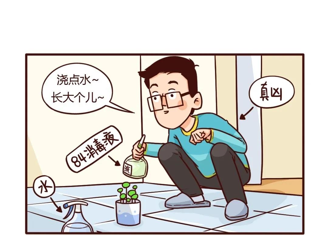 新栽绿植离奇死亡，谁动了旁边的-第21话