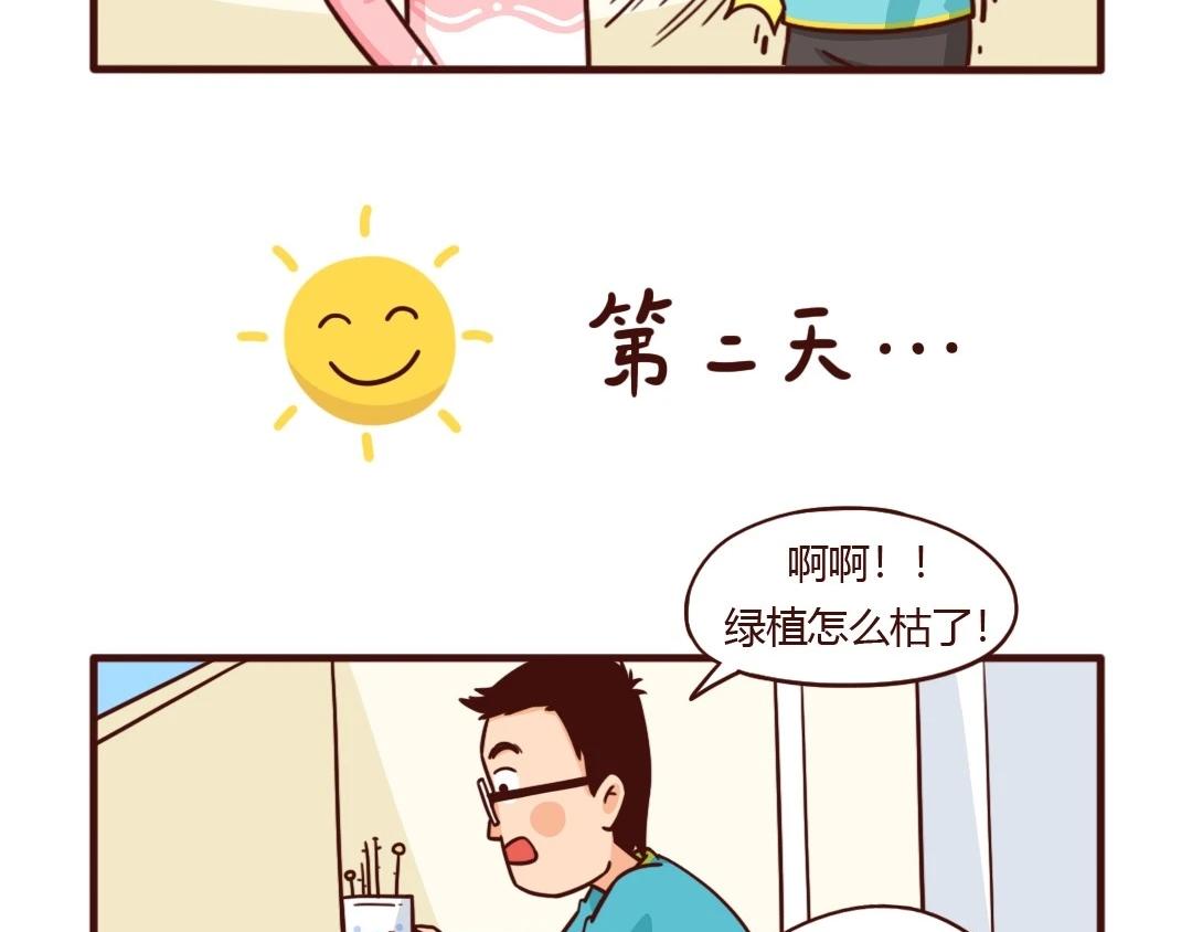 新栽绿植离奇死亡，谁动了旁边的-第21话
