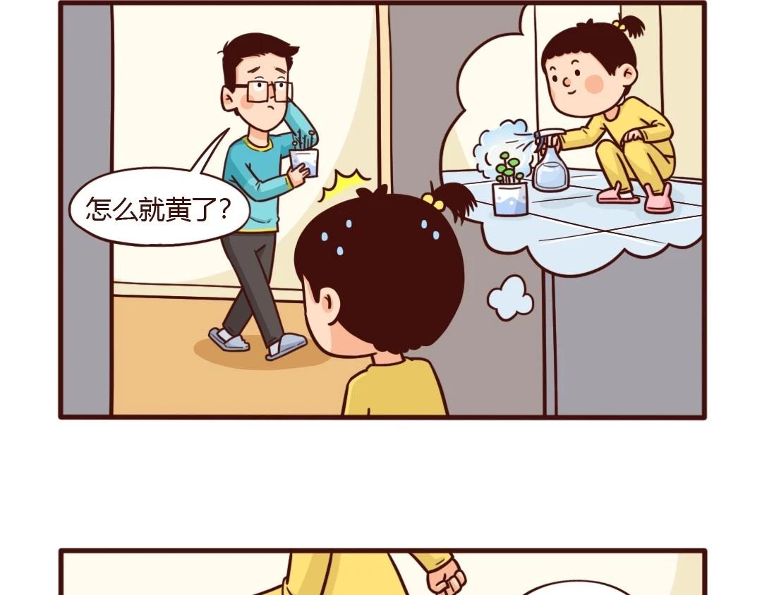 新栽绿植离奇死亡，谁动了旁边的-第21话