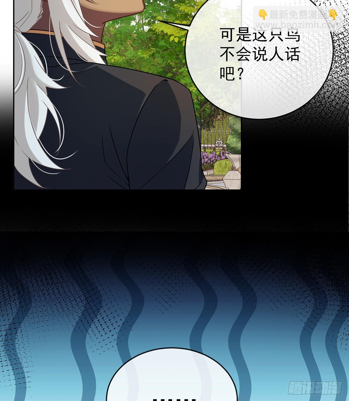 色鸟！(1/2)-第67话