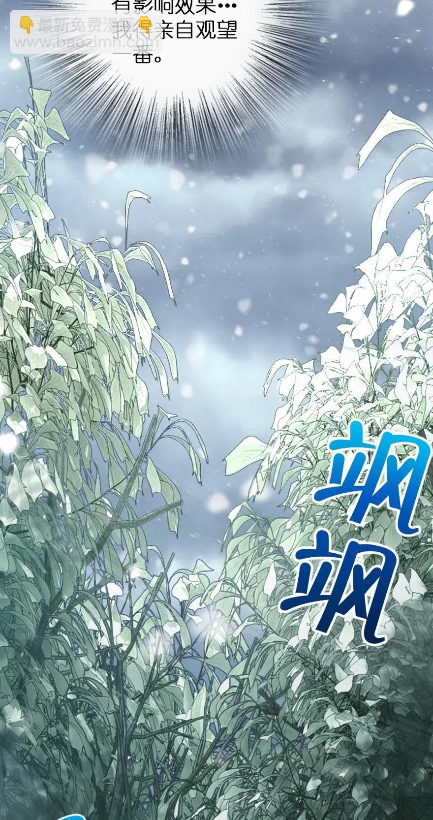 🍻放开那个女巫 228 森林之心 第15页