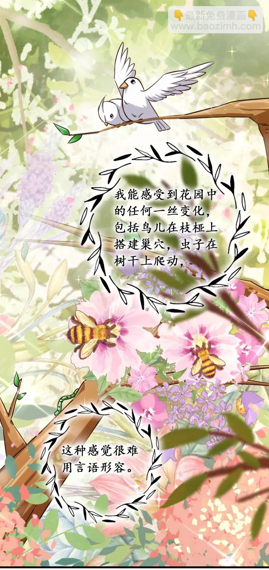 🍻放开那个女巫 228 森林之心 第30页