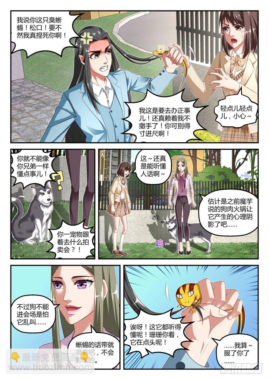 第37话:萌宠来袭(下)-第69话