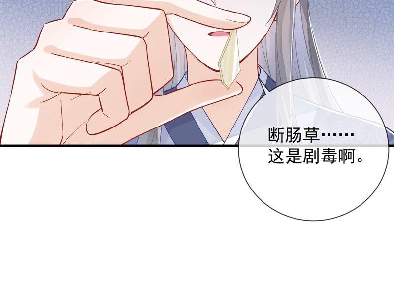 第33话 中毒？！(1/2)-第41话