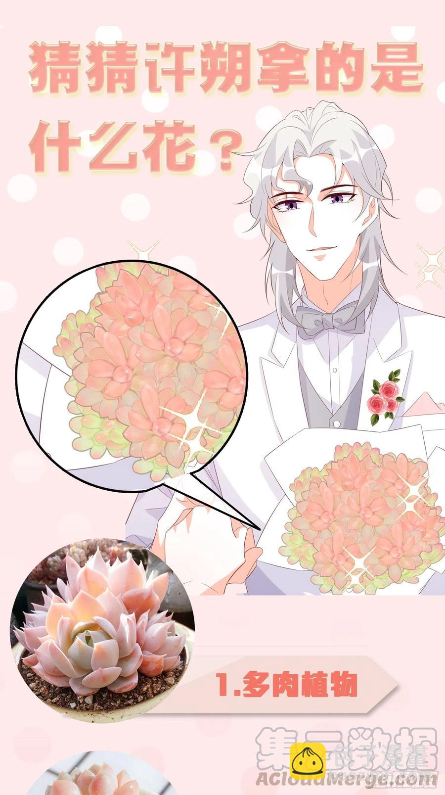 朕逃婚啦!-第111话