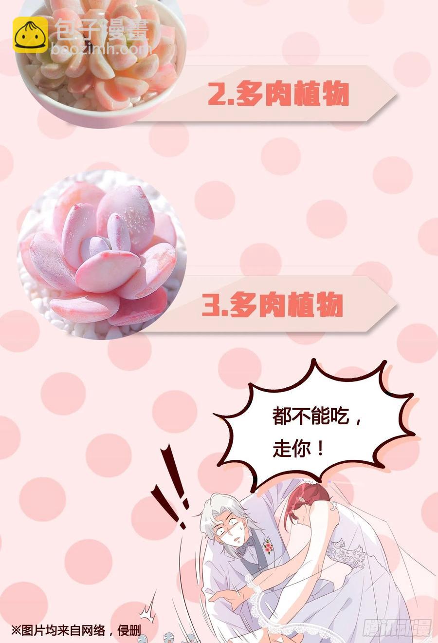 朕逃婚啦!-第111话