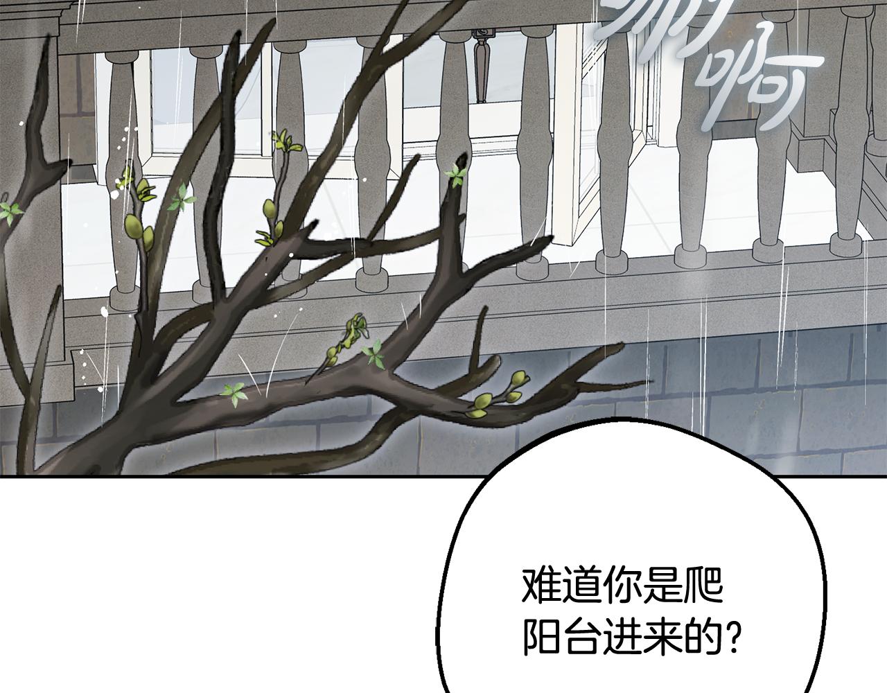 第112话 魔塔主病危(1/5)-第113话