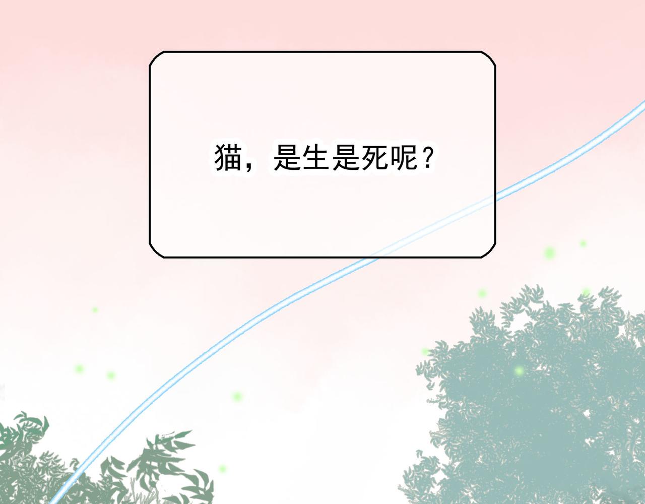 第1话 猫又不傻，不会从盒子里跑出来吗？(1/4)-第1话