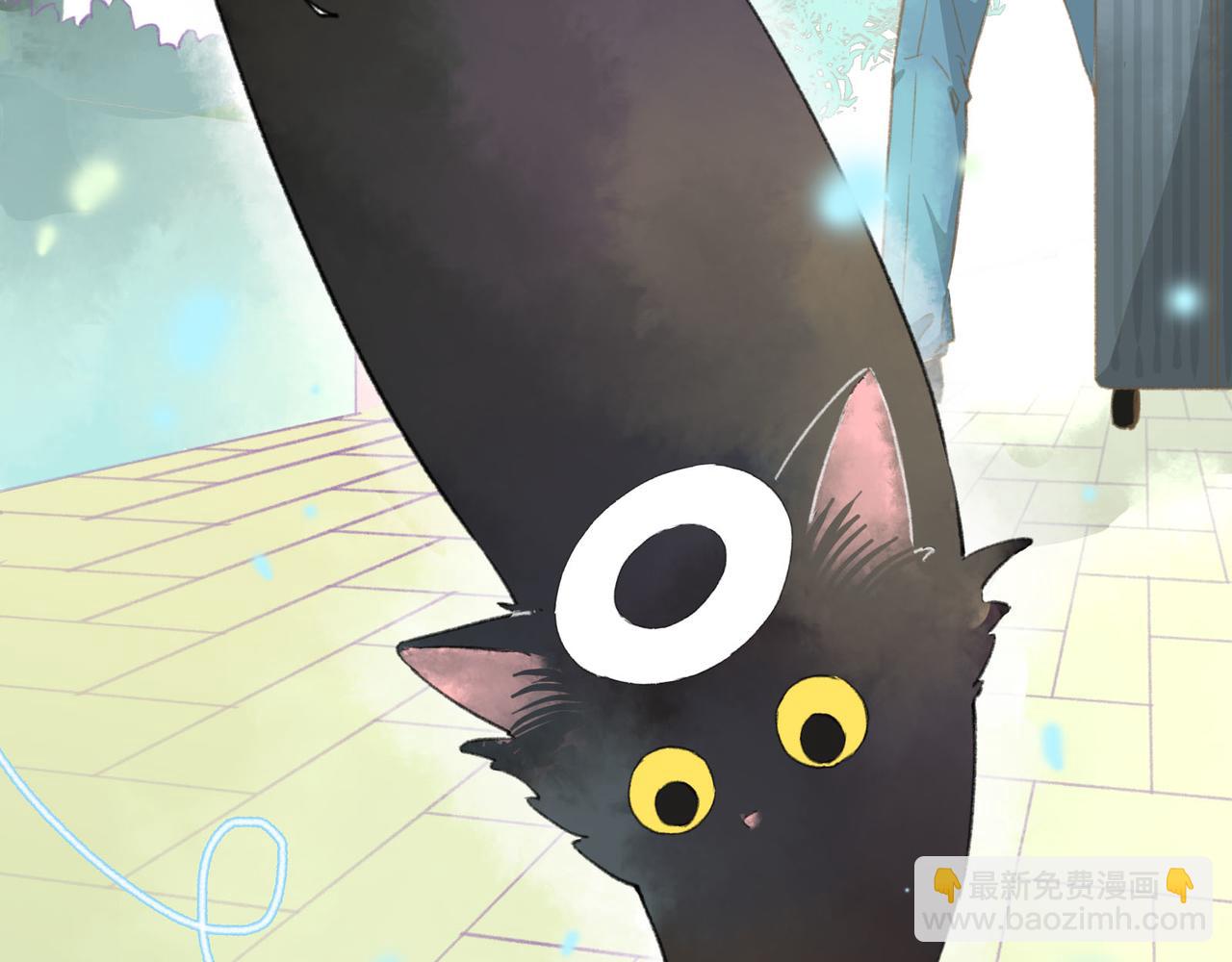 第1话 猫又不傻，不会从盒子里跑出来吗？(1/4)-第1话