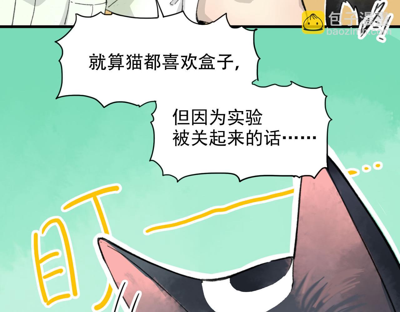 第1话 猫又不傻，不会从盒子里跑出来吗？(1/4)-第1话