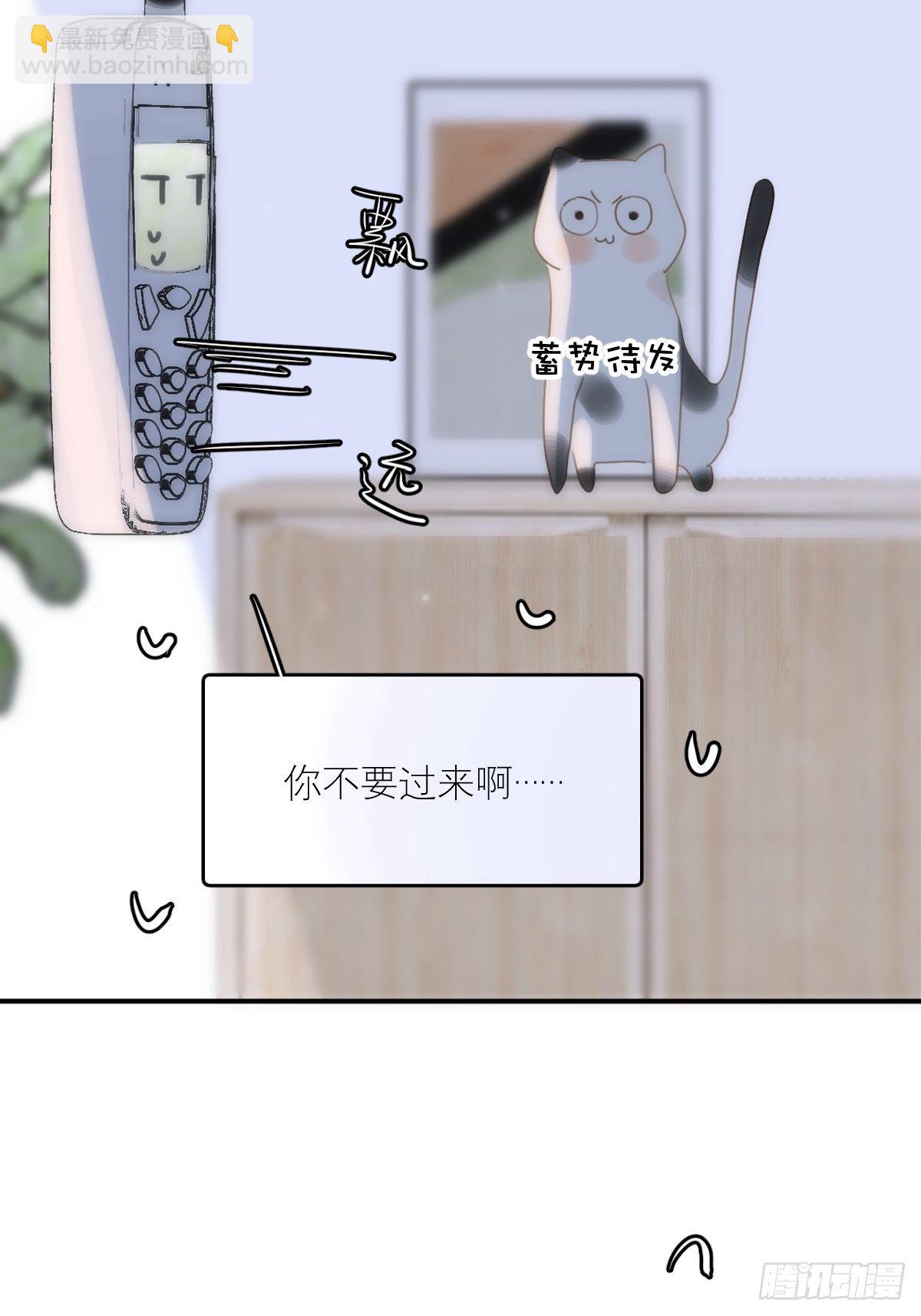 第34话 丑娃娃找老婆(1/2)-第35话