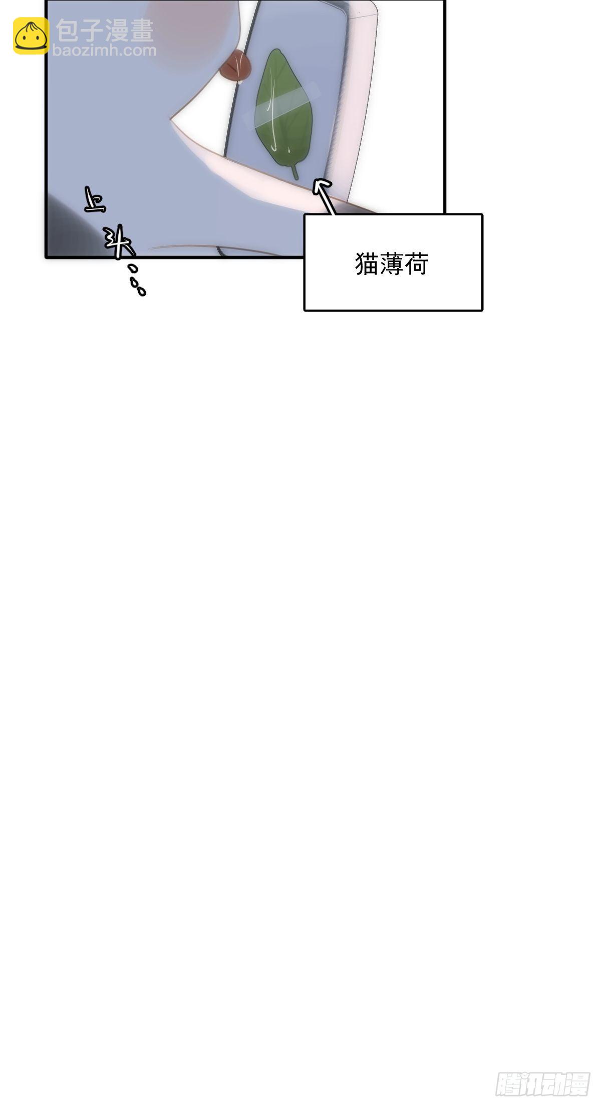 第34话 丑娃娃找老婆(1/2)-第35话