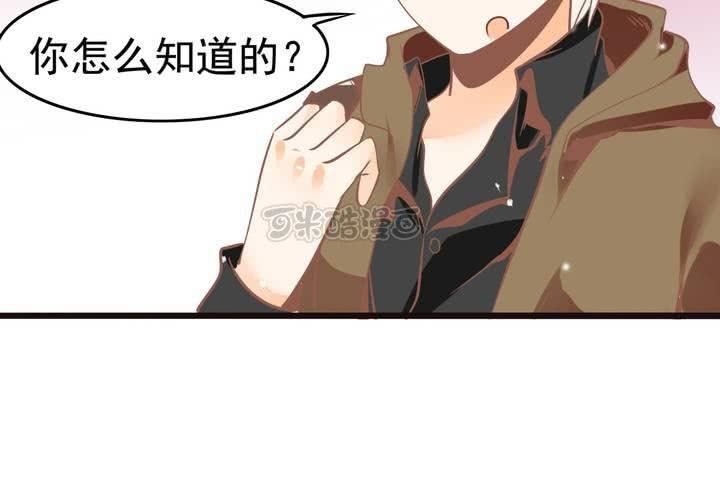 第52话 倒霉的沈忘川-第53话