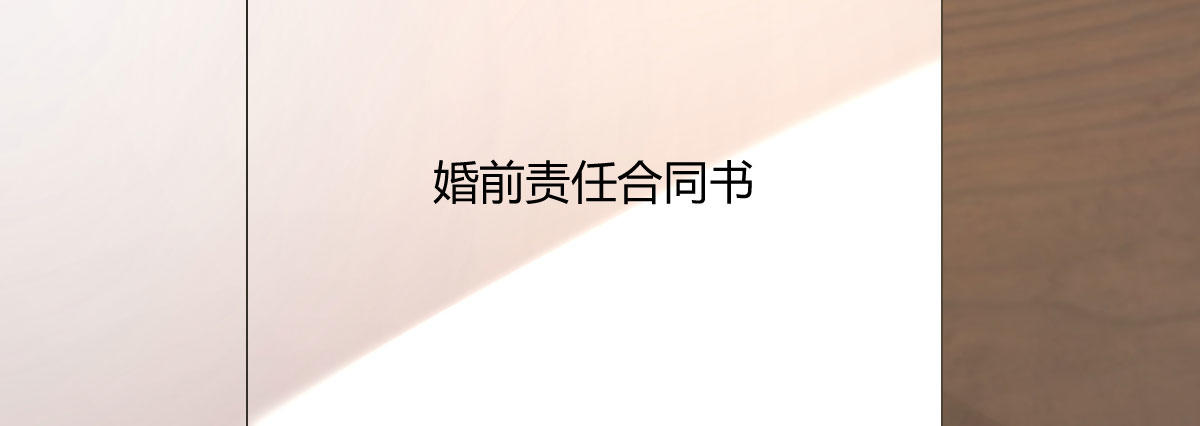 第8话：合同婚姻(1/4)-第9话