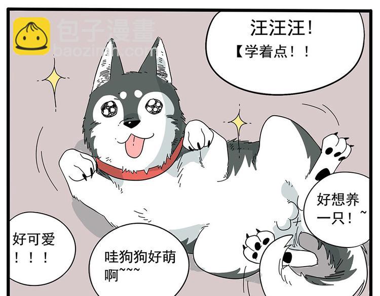 第10话-第7话