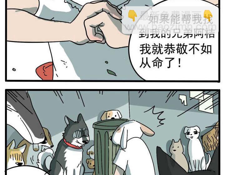第10话-第7话