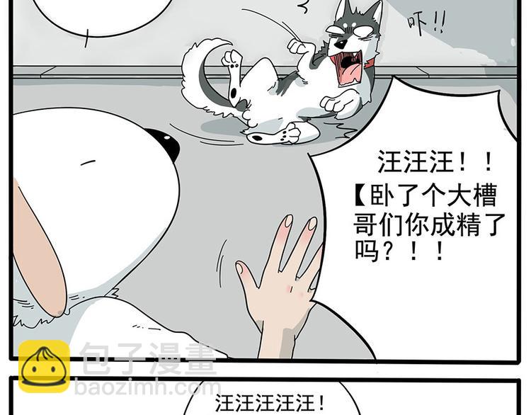 第10话-第7话