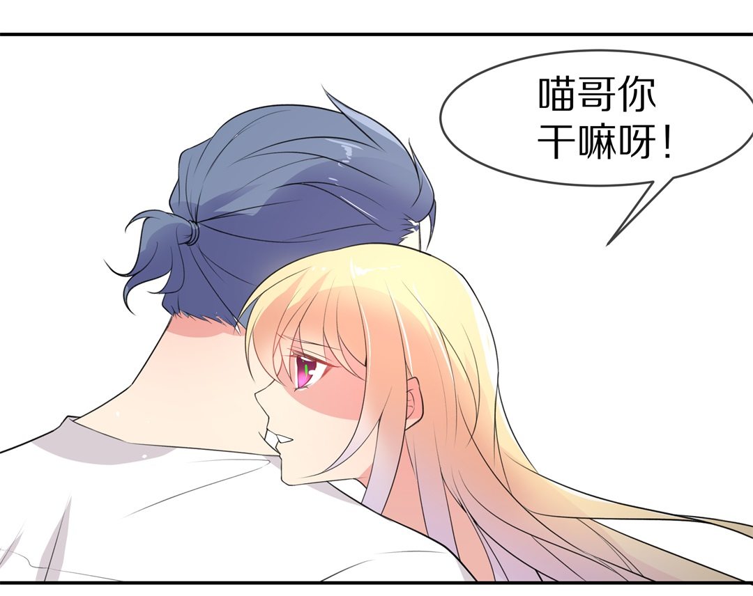 第146话 喵哥的身份（1）-第147话