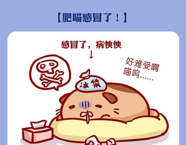 是谁动了我的了面包-第11话