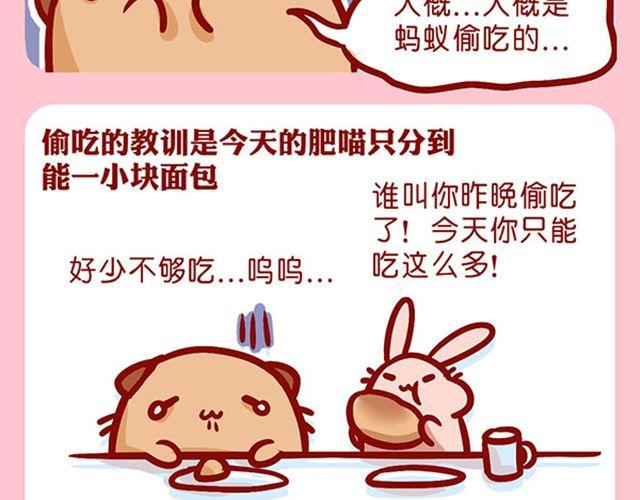 是谁动了我的了面包-第11话