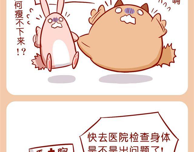 胖砸！快减肥！-第23话