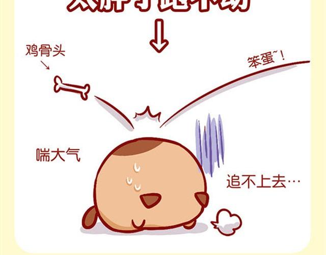 爱上了偷我鸡腿吃的你-第5话