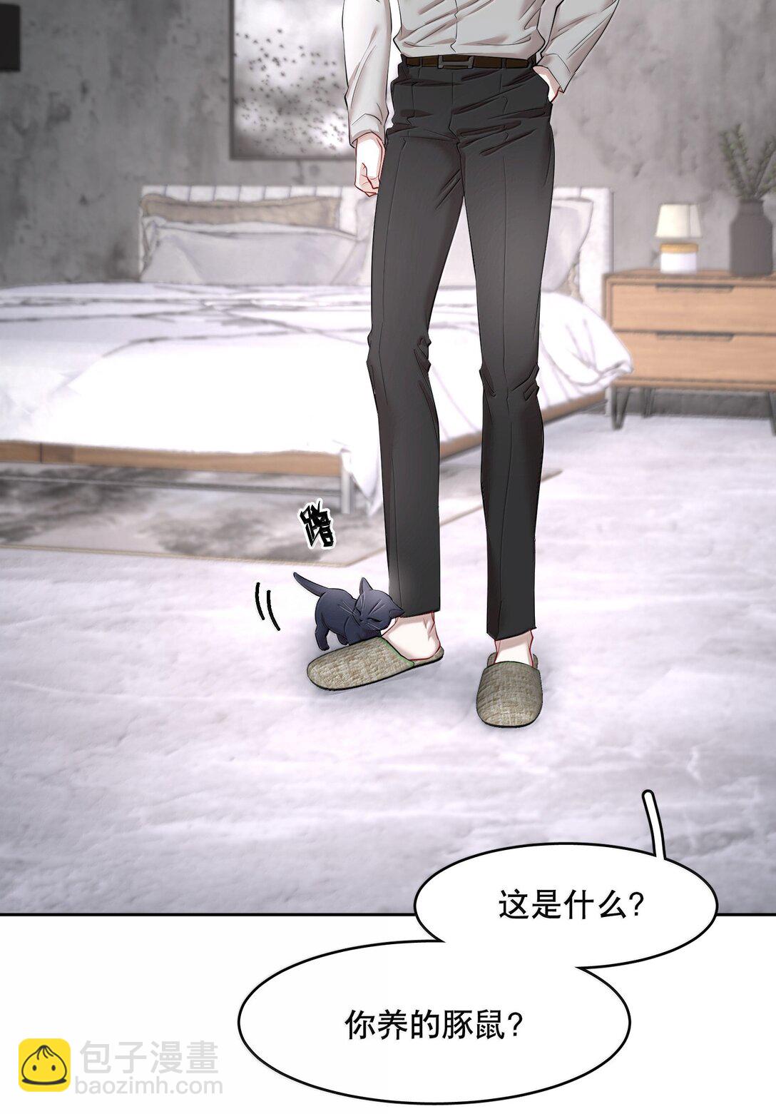 第97章 &ldquo;故猫&rdquo;-第119话