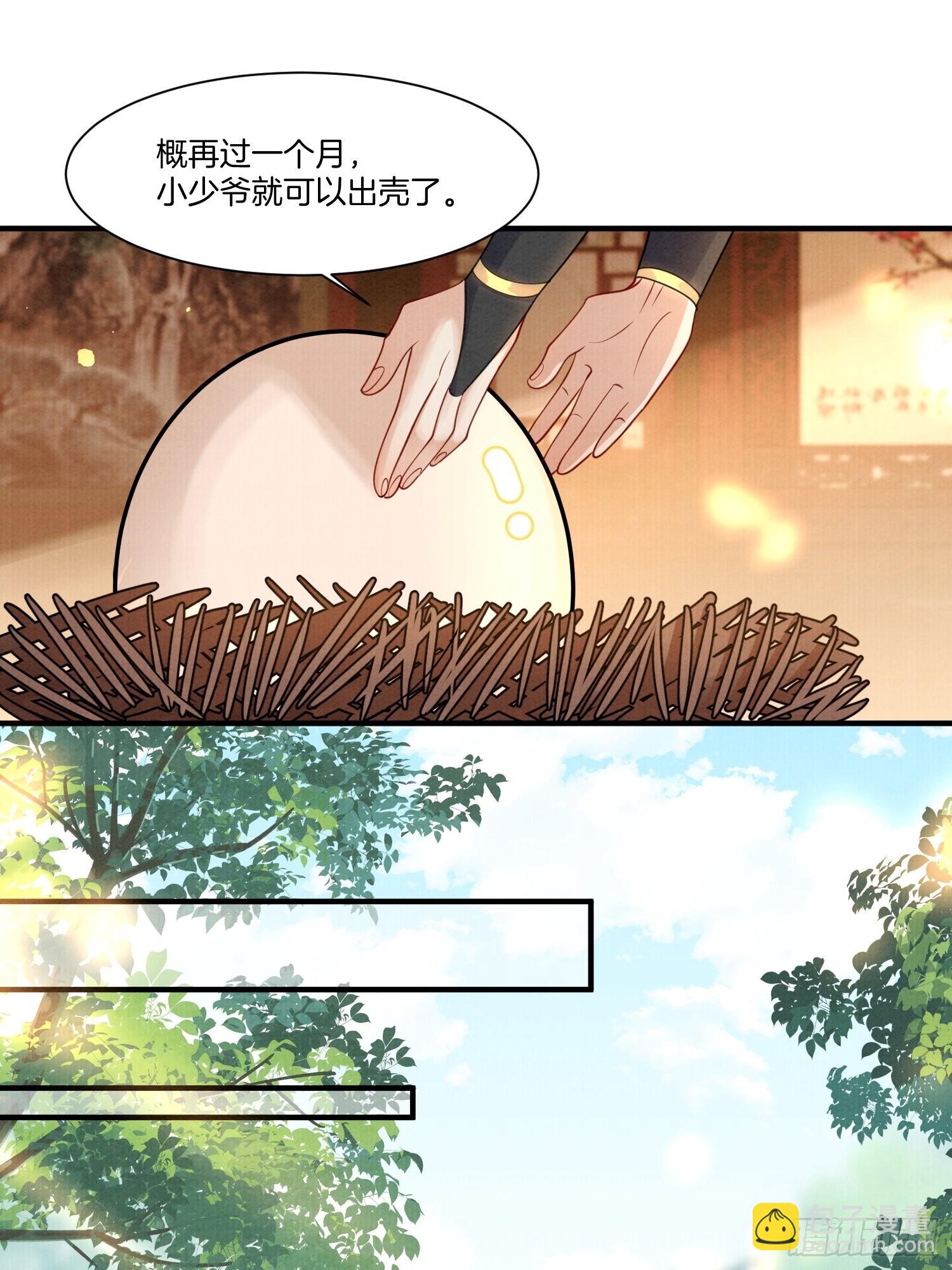 🍻废妻重生 13.那颗蛋动了 第12页